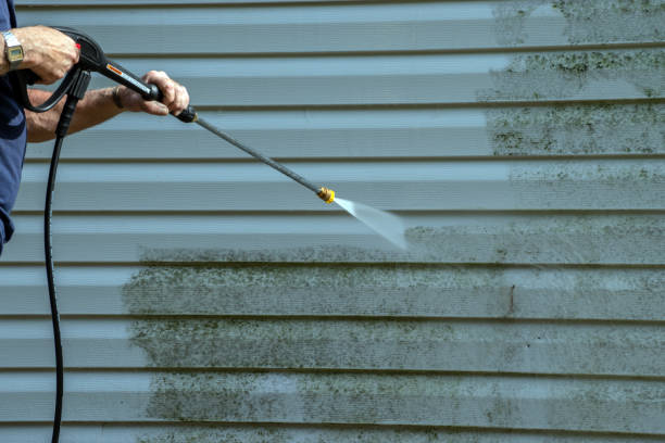 Best Roof Power Washing Services  in Enigma, GA